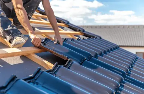 Couverture - La Forêt-du-Parc